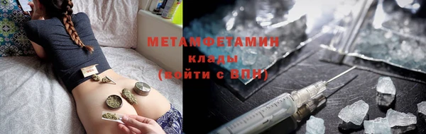 сатива Верея