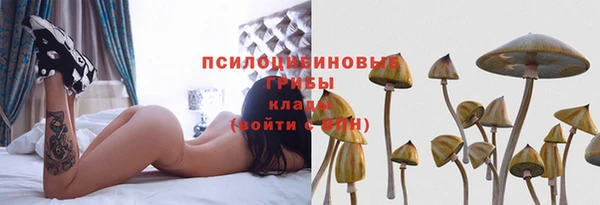 герыч Бородино