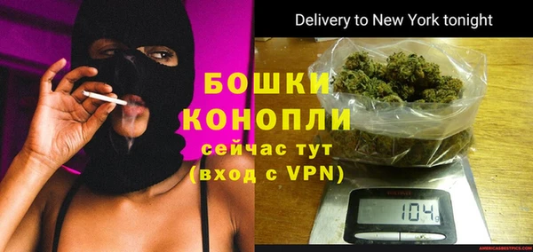сатива Верея